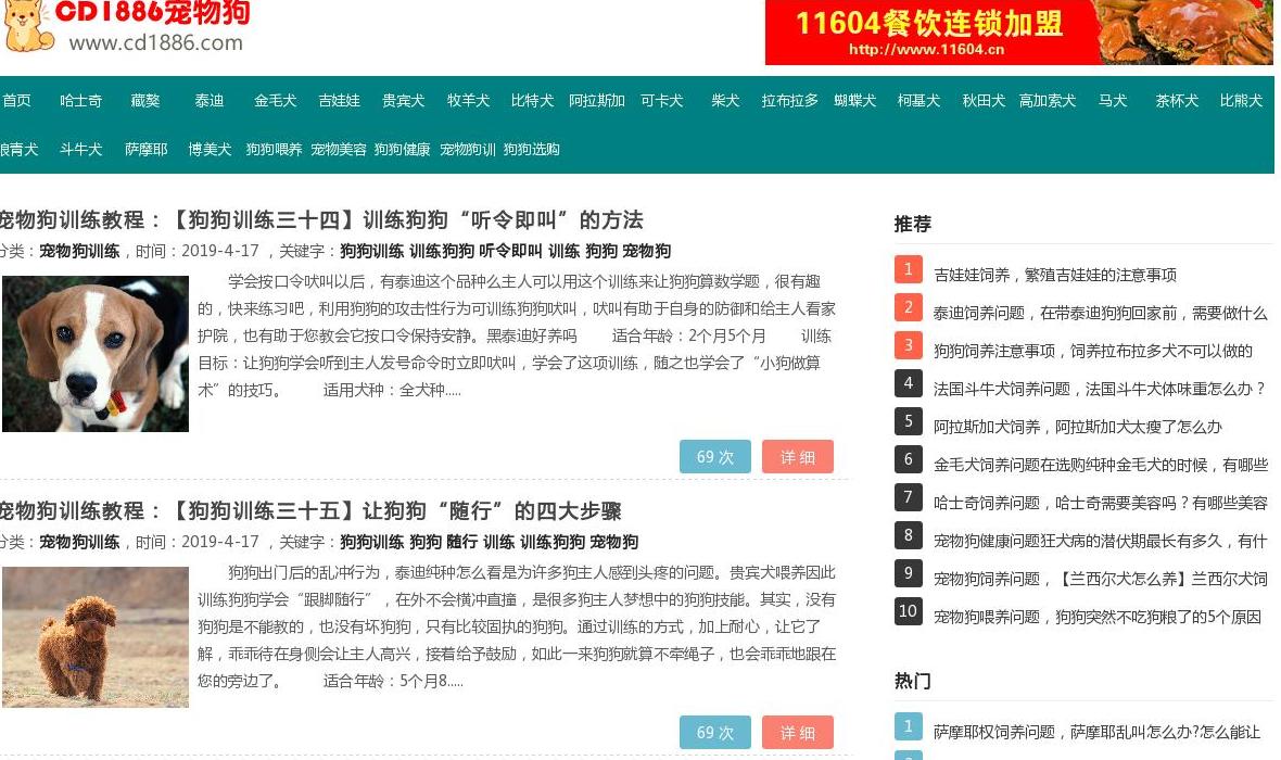 宠物狗站点缩略图