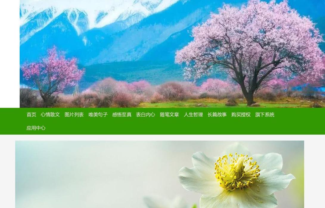 申博私网假网站点缩略图