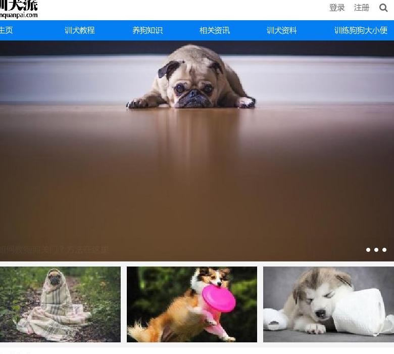 训犬派站点缩略图