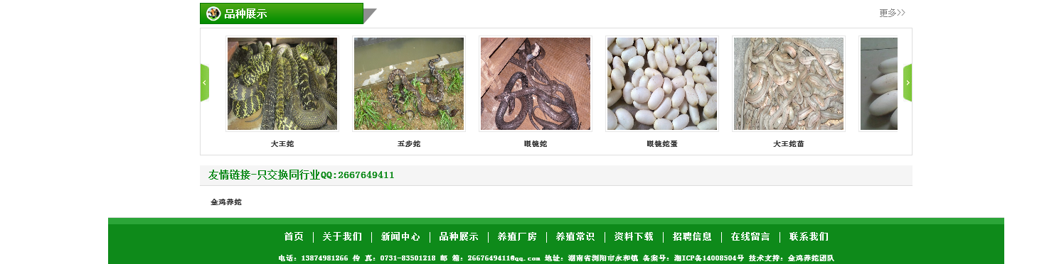 金鸡养蛇站点缩略图
