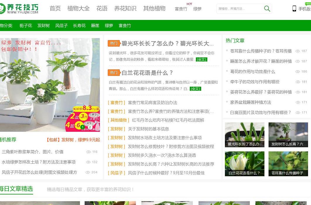 养花技巧网站点缩略图