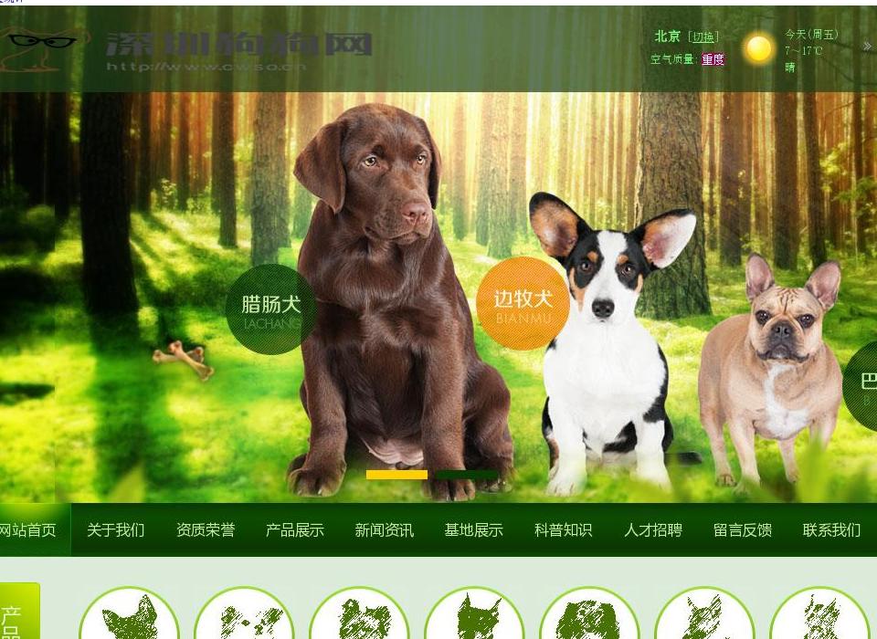 深圳狗狗网站点缩略图