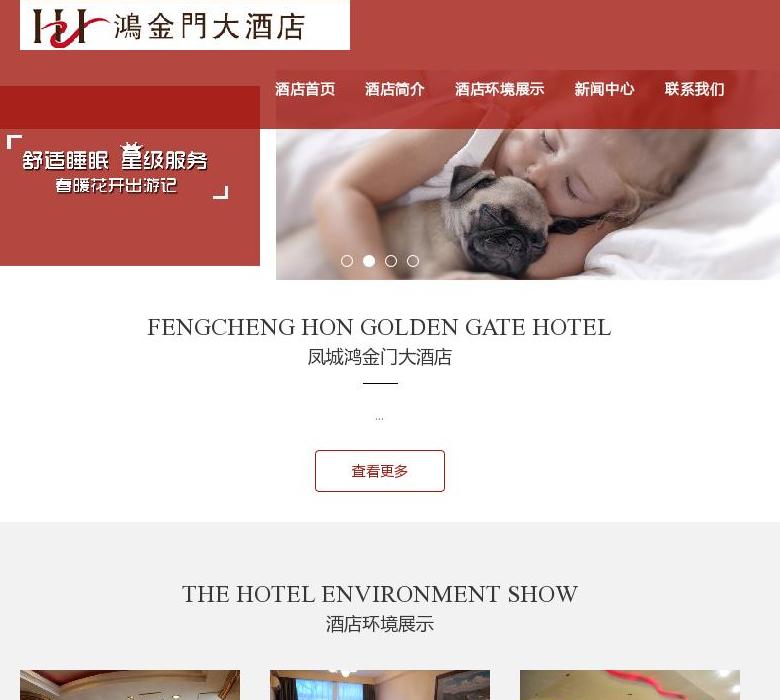 凤城鸿金门大酒店公司站点缩略图