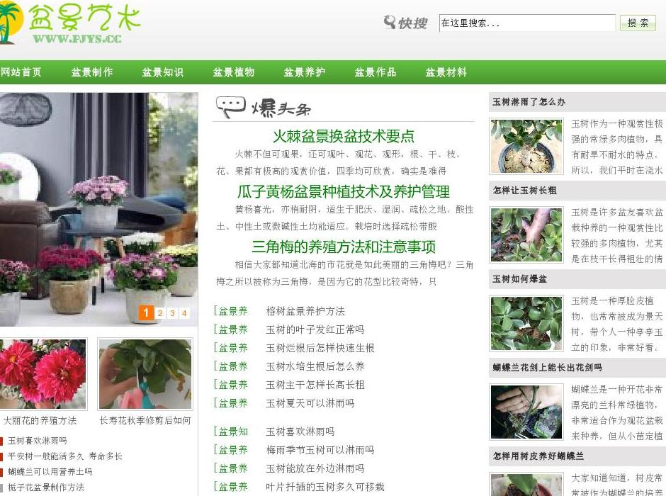 盆景艺术网站点缩略图