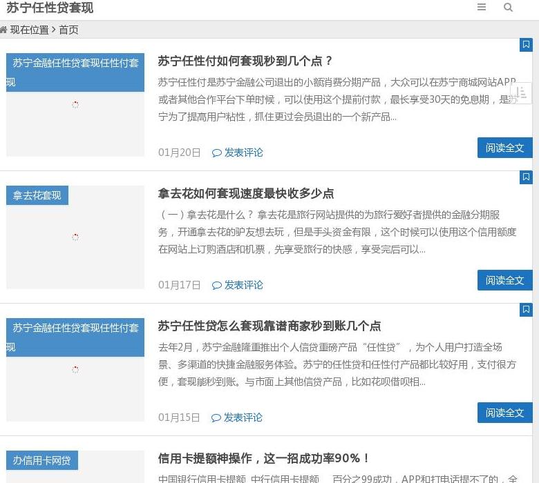 苏宁任性贷站点缩略图