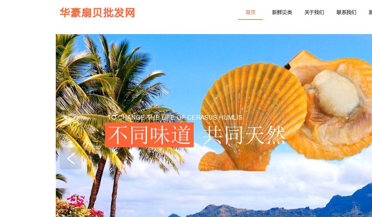 华豪扇贝批发网站点缩略图