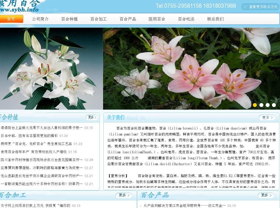食用百合站点缩略图