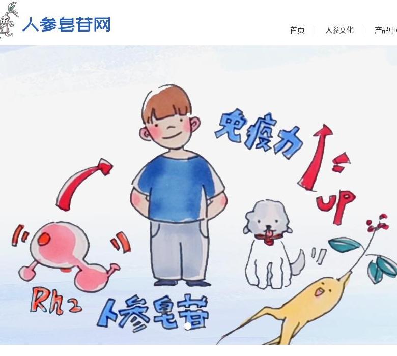 人参皂苷网站点缩略图