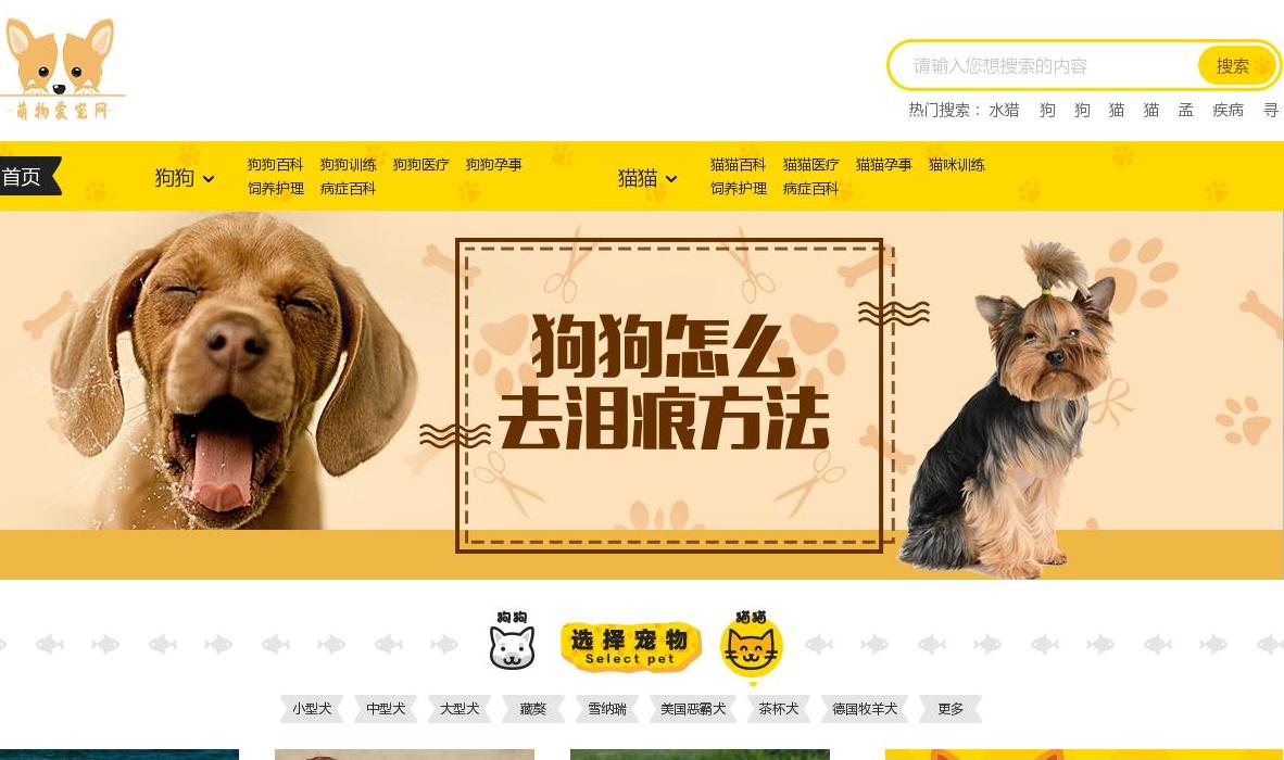 萌物爱宠网站点缩略图