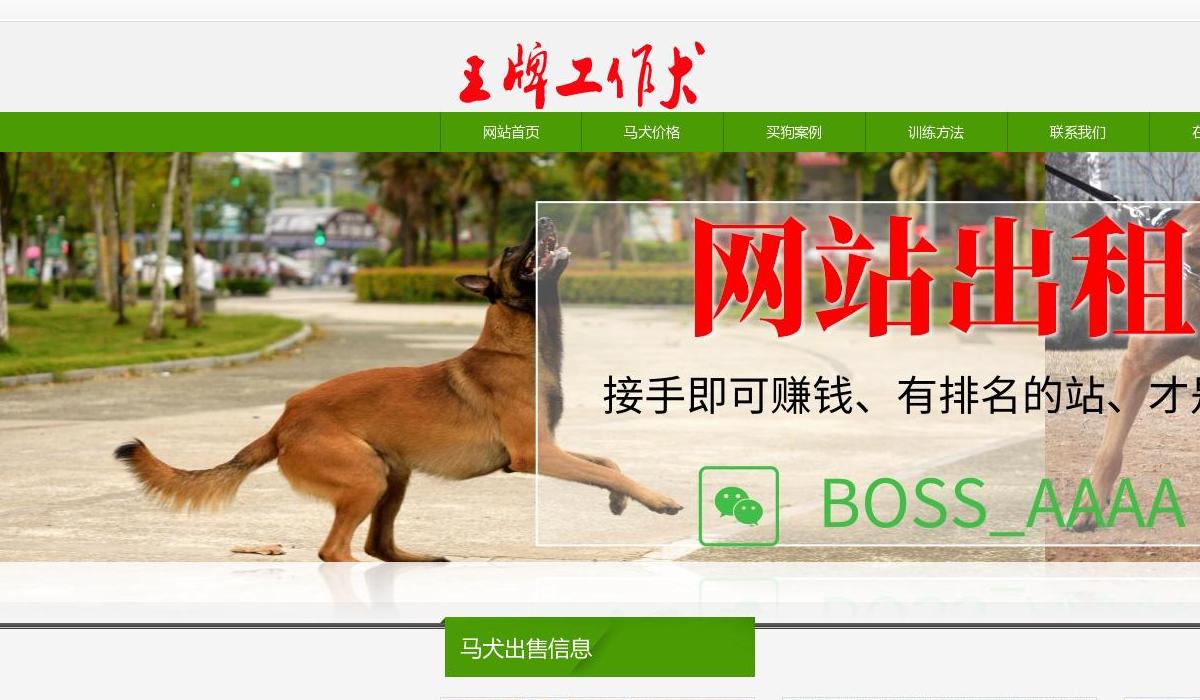 中国马犬站点缩略图