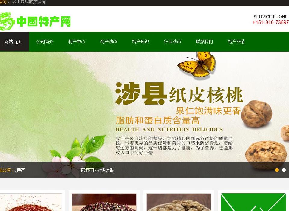 龙仔特产站点缩略图
