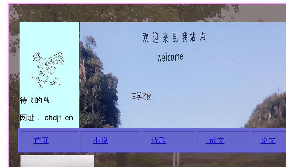 待飞的鸟站点缩略图