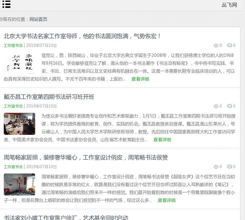 丛飞网站点缩略图