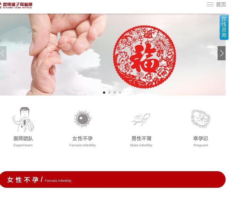 昆明送子鸟医院站点缩略图