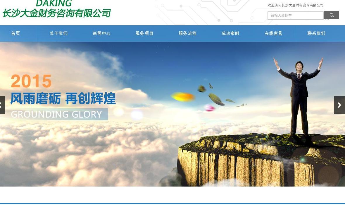 大金财务站点缩略图