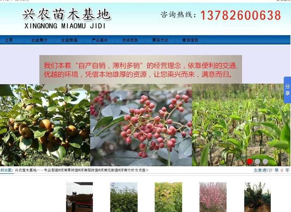 河南花椒苗批发站点缩略图
