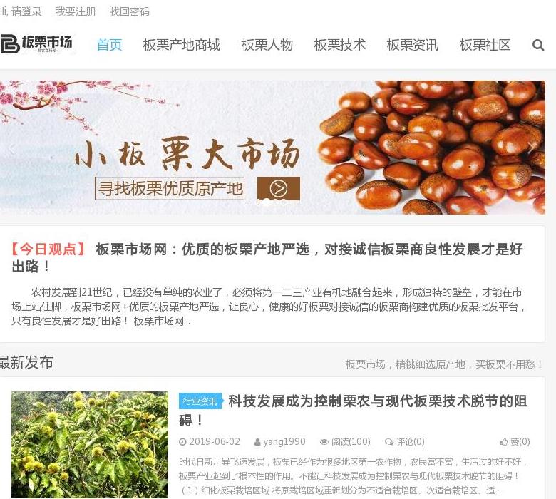 板栗市场网站点缩略图