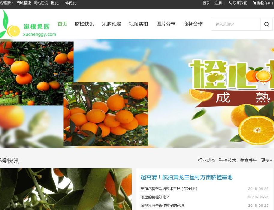 溆橙果园-脐橙批发站点缩略图