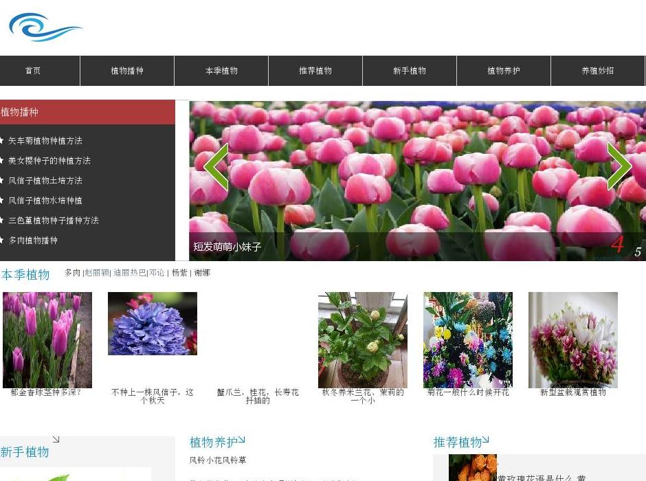 想想植物站点缩略图