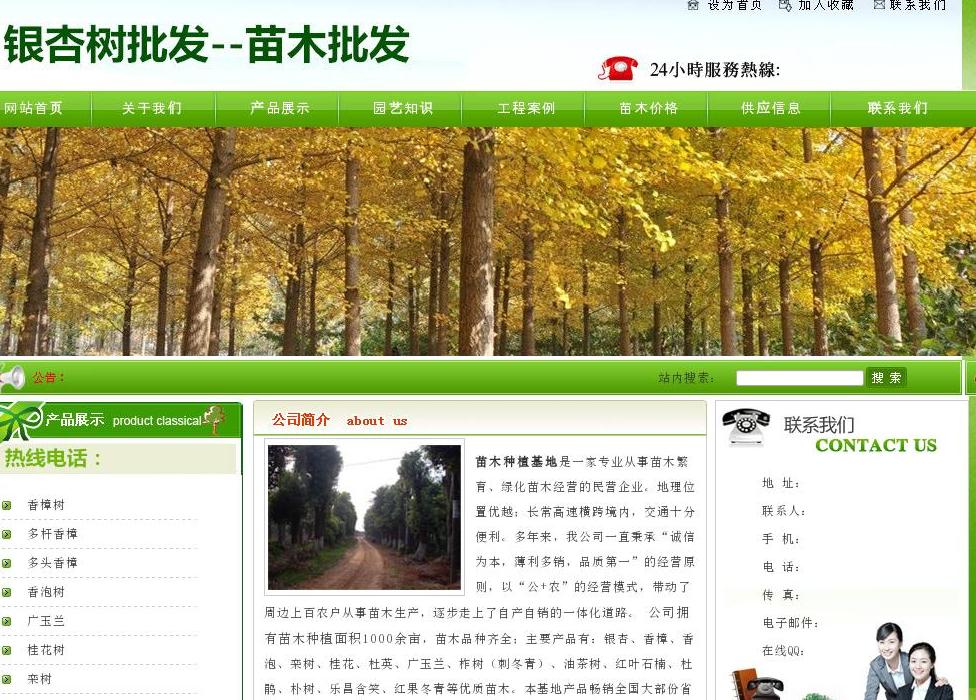 银杏树价格站点缩略图