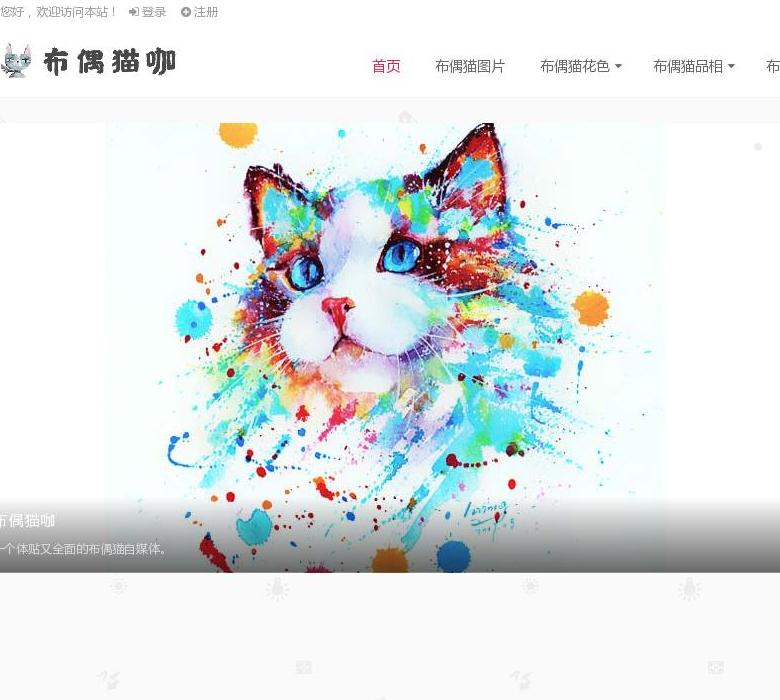 布偶猫站点缩略图